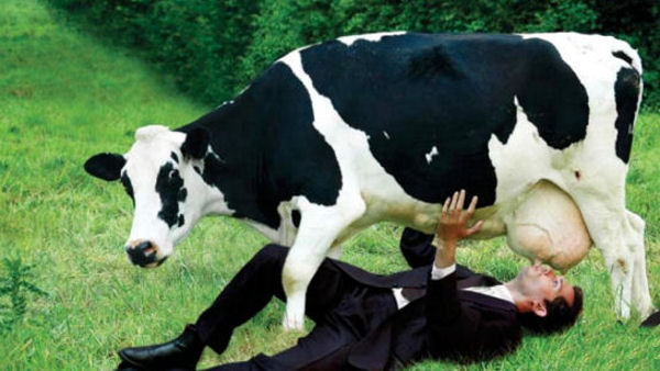 No Cows Milk Diet